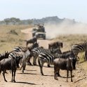 TZA SHI SerengetiNP 2016DEC25 MbalagetiRiver 027 : 2016, 2016 - African Adventures, Africa, Date, December, Eastern, Mbalageti River, Month, Places, Serengeti National Park, Shinyanga, Tanzania, Trips, Year
